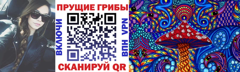 купить закладку  Сосновоборск  Псилоцибиновые грибы прущие грибы 